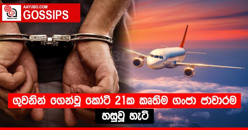 ගුවනින් ගෙන්වූ කෝටි 21ක කෘතිම ගංජා ජාවාරම හසුවූ හැටි