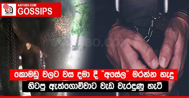 කොමඩු වලට වස දමා දී “අසේල” මරන්න හැදූ හිටපු ඇත්ගොව්වාට වැඩ වැරදුණු හැටි