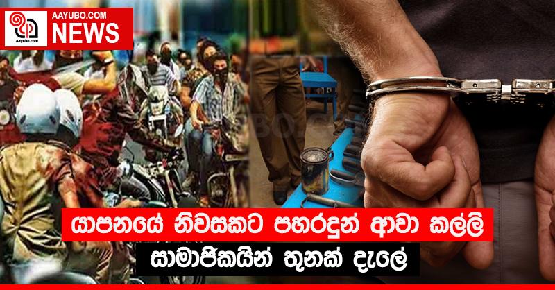යාපනයේ නිවසකට පහරදුන් ආවා කල්ලි සාමාජිකයින් තුනක් දැලේ