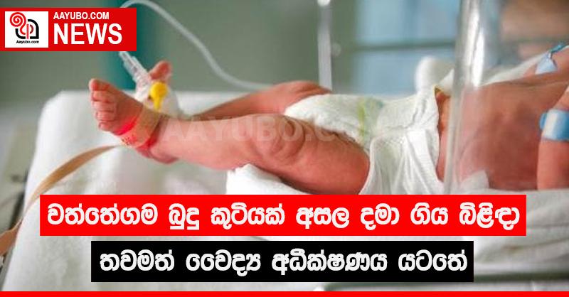 වත්තේගම බුදු කුටියක් අසල දමා ගිය බිළිඳා තවමත් වෛද්‍ය අධීක්ෂණය යටතේ
