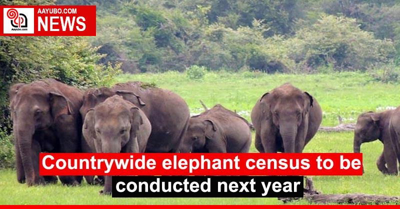 Countrywide elephant census to be conducted next year