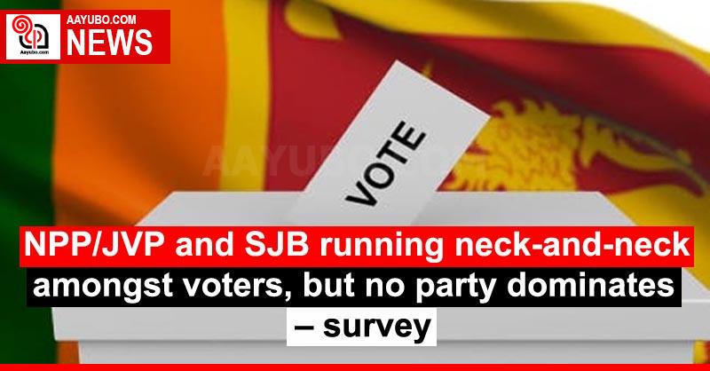 NPP/JVP and SJB running neck-and-neck amongst voters, but no party dominates – survey