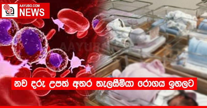 නව දරු උපත් අතර තැලසීමියා රොගය ඉහලට