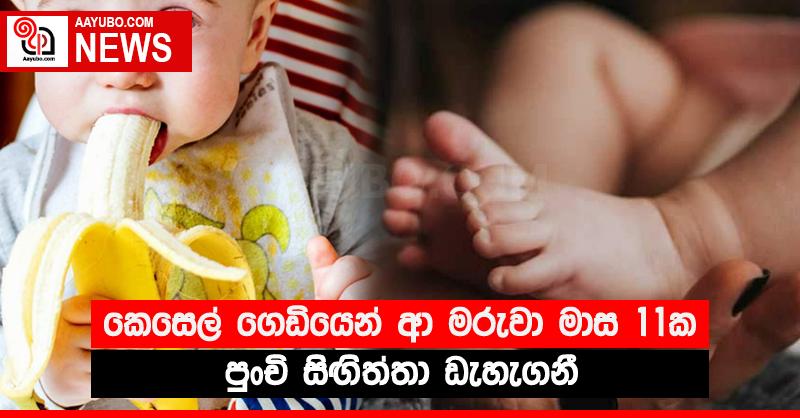 කෙසෙල් ගෙඩියෙන් ආ මරුවා මාස 11ක පුංචි සිඟිත්තා ඩැහැගනී
