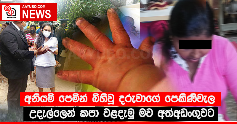 අනියම් පෙමින් බිහිවූ දරුවාගේ පෙකිණිවැල උදැල්ලෙන් කපා වළදැමූ මව අත්අඩංගුවට