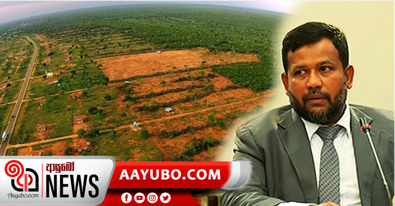 බදියුදීන් විල්පත්තුවට කළ හානිය තක්සේරු කරයි