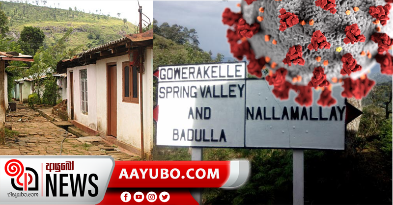 පෑලියගොඩ ආසාදිතයෙකු හේතුවෙන් බදුල්ලේ ස්ප්‍රිංවැලි වතුනිවාස නිරෝධායනයට