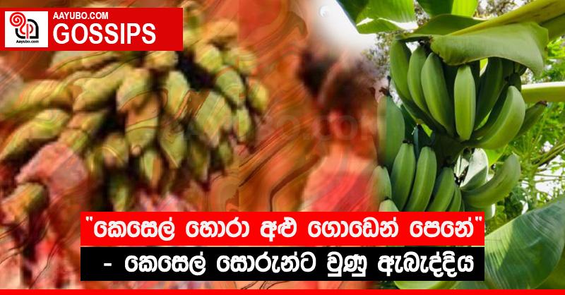 “කෙසෙල් හොරා අළු ගොඩෙන් පෙනේ” - කෙසෙල් සොරුන්ට වුණු ඇබැද්දිය