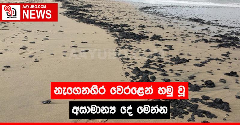 නැගෙනහිර වෙරළෙන් හමු වූ අසාමාන්‍ය දේ මෙන්න