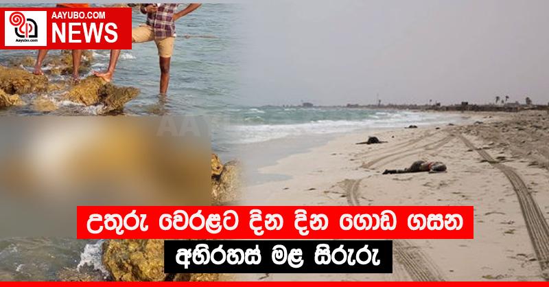 උතුරු වෙරළට දින දින ගොඩ ගසන අභිරහස් මළ සිරුරු