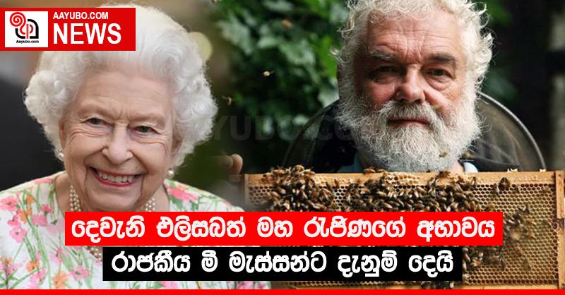 දෙවැනි එලිසබත් මහ රැජිණගේ අභාවය රාජකීය මී මැස්සන්ට දැනුම් දෙයි