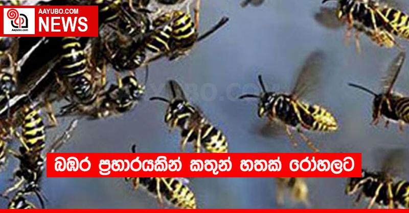 බඹර ප්‍රහාරයකින් කතුන් හතක් රෝහලට