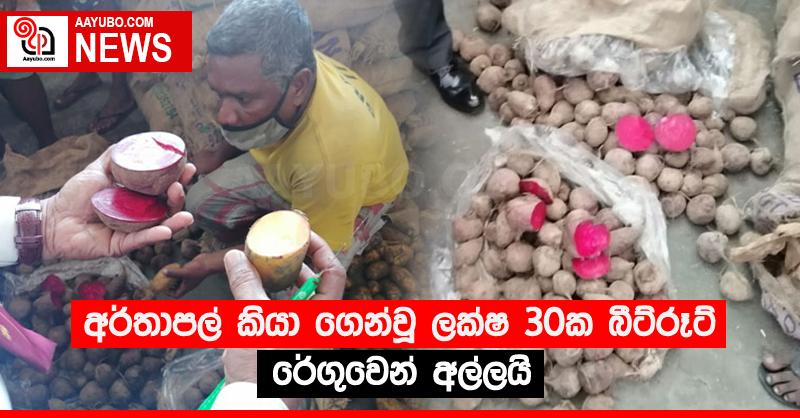 අර්තාපල් කියා ගෙන්වූ ලක්‍ෂ 30ක බීට්රූට් රේගුවෙන් අල්ලයි