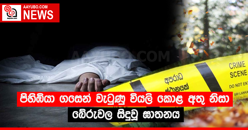 පිහිඹියා ගසෙන් වැටුණු වියලි කොළ අතු නිසා බේරුවල සිදුවූ ඝාතනය