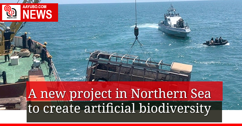 A new project at Nothrhen Sea to create an artificial biodiversity 