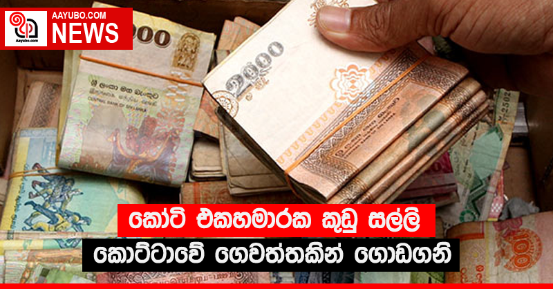කෝටි එකහමාරක කුඩු සල්ලි කොට්ටාවේ ගෙවත්තකින් ගොඩගනි