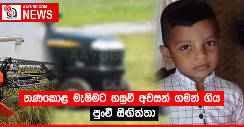 තණකොළ මැෂිමට හසුවී අවසන් ගමන් ගිය පුංචි සිඟිත්තා