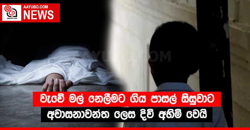 වැවේ මල් නෙලීමට ගිය පාසල් සිසුවාට අවාසනාවන්ත ලෙස දිවි අහිමි වෙයි
