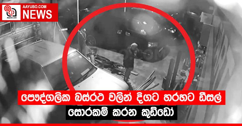 පෞද්ගලික බස්රථ වලින් දිගට හරහට ඩීසල් සොරකම් කරන කුඩ්ඩෝ