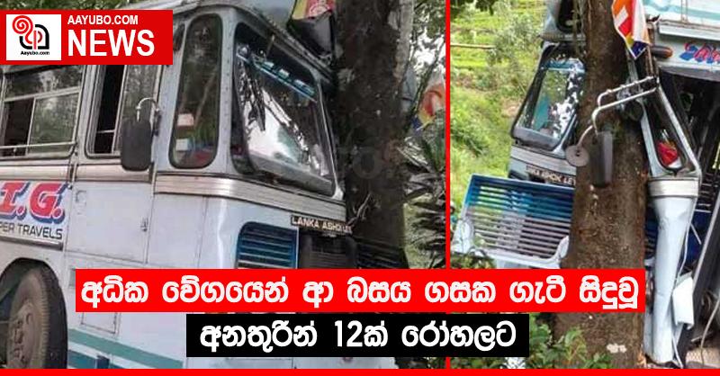 අධික වේගයෙන් ආ බසය ගසක ගැටී සිදුවූ අනතුරින් 12ක් රෝහලට