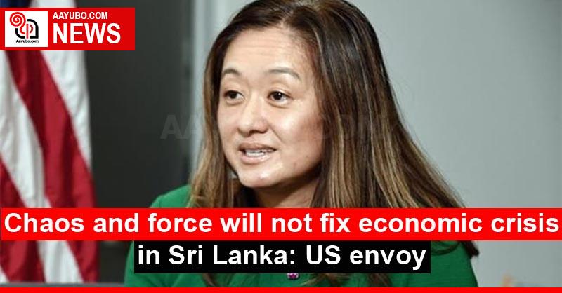 Chaos and force will not fix economic crisis in Sri Lanka: US envoy