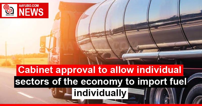 Cabinet approval to allow individual sectors of the economy to import fuel individually