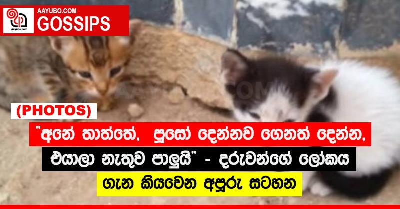 “අනේ තාත්තේ,  පූසෝ දෙන්නව ගෙනත් දෙන්න, එයාලා නැතුව පාලුයි” - දරුවන්ගේ ලෝකය ගැන කියවෙන අපූරු සටහන (PHOTOS)