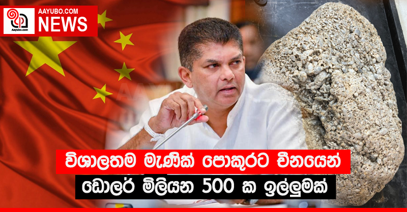 විශාලතම මැණික් පොකුරට චීනයෙන් ඩොලර් මිලියන 500 ක ඉල්ලු‍මක්
