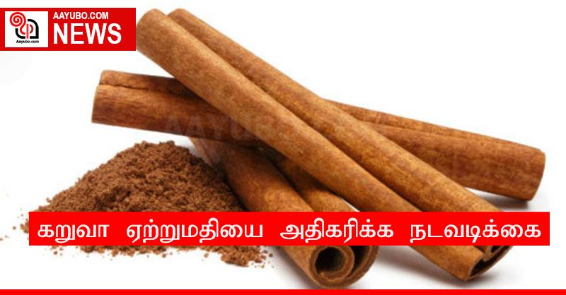 கறுவா ஏற்றுமதியை அதிகரிக்க நடவடிக்கை
