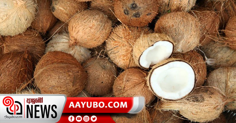 "පොල්" සඳහා පැනවූ පාලන මිල ඉවත් කෙරේ