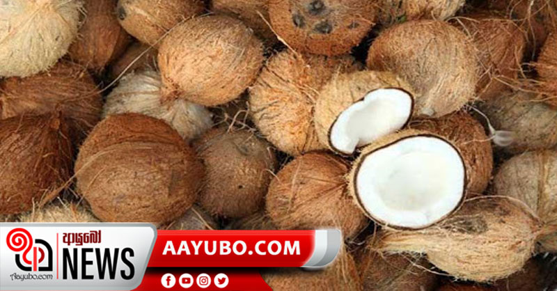 පොල් මිල පාලනයට ආණ්ඩුවෙන් අලුත් වැඩක්