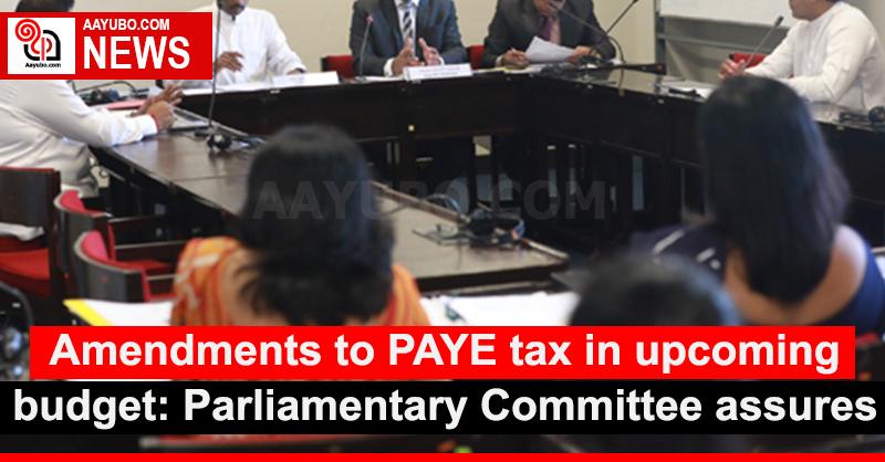 Amendments to PAYE tax in upcoming budget: Parliamentary Committee assures