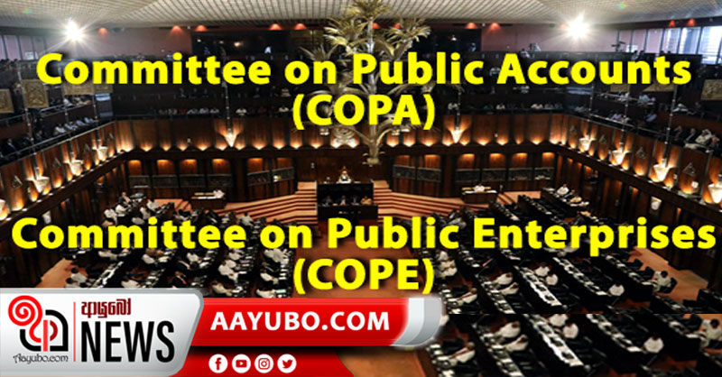 කෝප් සහ කෝපා කමිටු රැස්වීම් සතියකට අත්හිටුවයි