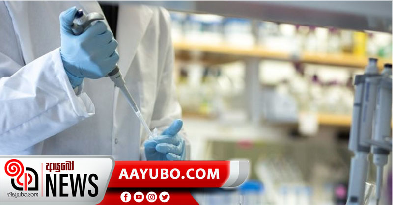 පාසල් දරුවන් 115කගේ  PCR වාර්තා අද