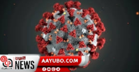 ලංකාවේ කොරෝනා ආසාදිතයින් ගණන 210 දක්වා වැඩිවෙයි