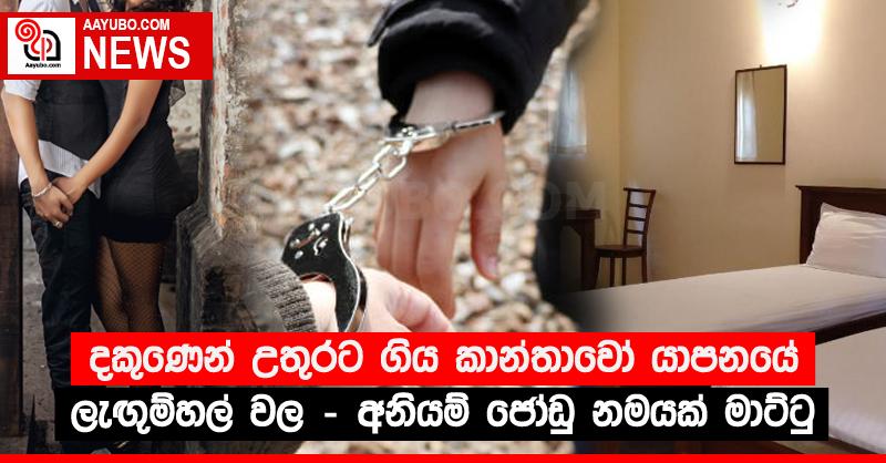දකුණෙන් උතුරට ගිය කාන්තාවෝ යාපනයේ ලැඟු‍ම්හල් වල - අනියම් ජෝඩු නමයක් මාට්ටු