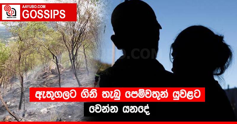 ඇතුගලට ගිනි තැබු පෙම්වතුන් යුවළට වෙන්න යනදේ