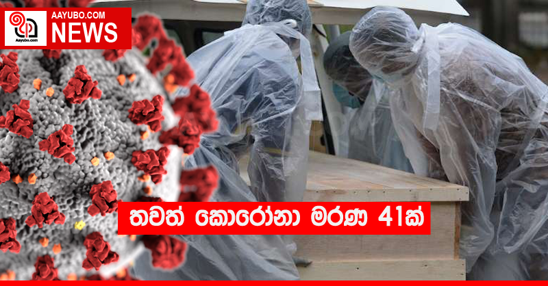 තවත් කොරෝනා මරණ 41ක්