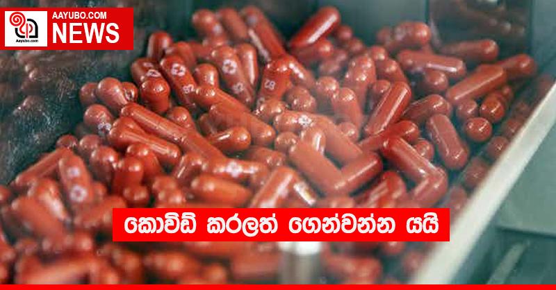 කොවිඩ් කරලත් ගෙන්වන්න යයි