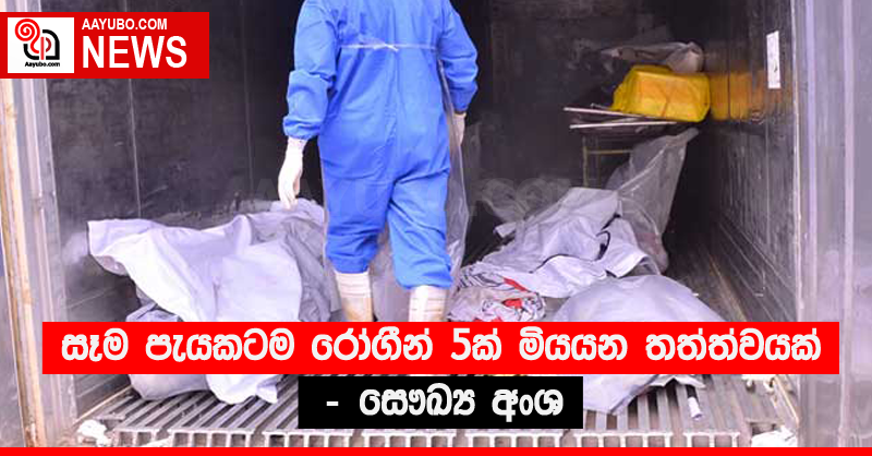 සෑම පැයකටම රෝගීන් 5ක් මියයන තත්ත්වයක් - සෞඛ්‍ය අංශ
