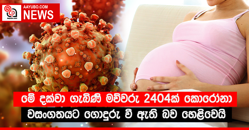 මේ දක්වා ගැබිණි මව්වරු 2404ක් කොරෝනා වසංගතයට ගොදුරු වී ඇති බව හෙළිවෙයි