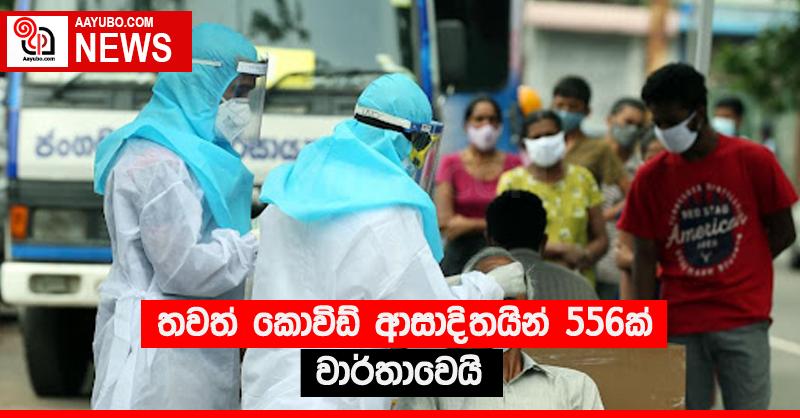තවත් කොවිඩ් ආසාදිතයින් 556ක් වාර්තාවෙයි