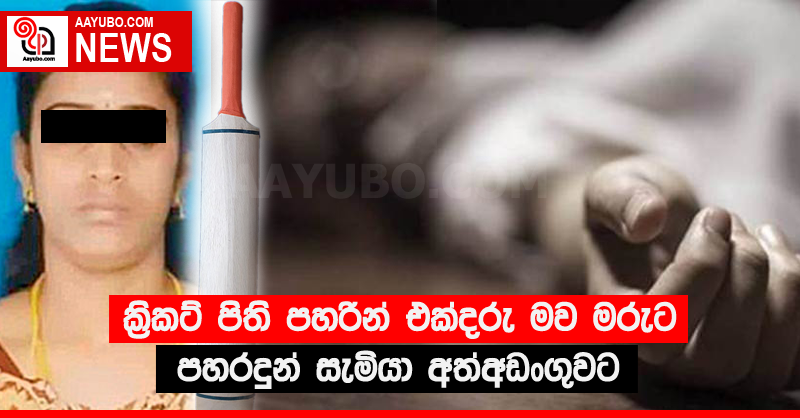 ක්‍රිකට් පිති පහරින් එක්දරු මව මරුට - පහරදුන් සැමියා අත්අඩංගුවට