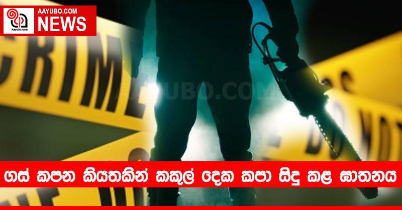 ගස් කපන කියතකින් කකුල් දෙක කපා සිදු කළ ඝාතනය