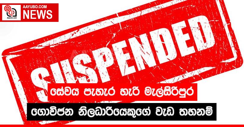 සේවය පැහැර හැරි මැල්සිරිපුර ගොවිජන නිලධාරියෙකුගේ වැඩ තහනම්