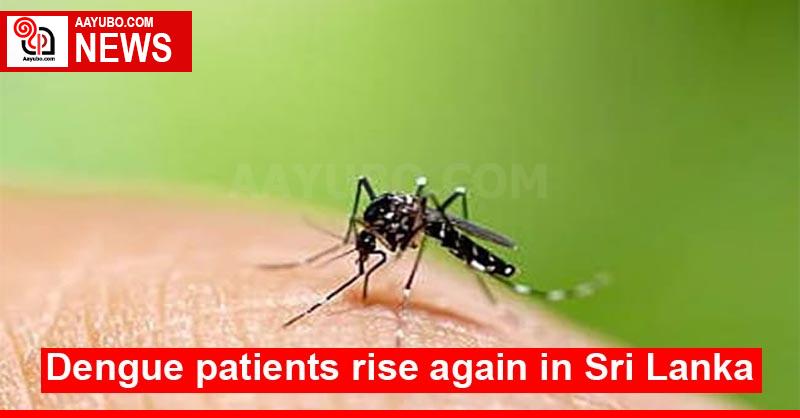 Dengue patients rise again in Sri Lanka