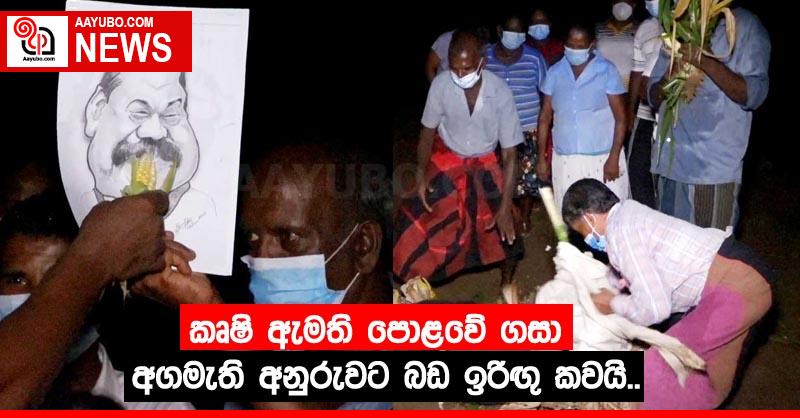 කෘෂි ඇමති පොළවේ ගසා අගමැති අනුරුවට බඩ ඉරිඟු කවයි..