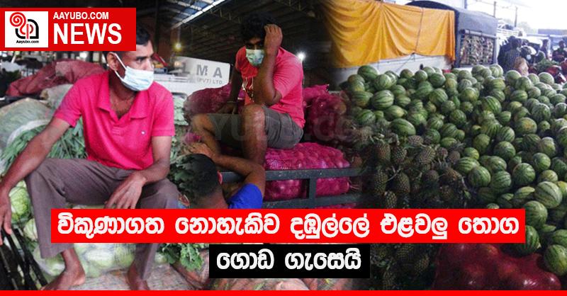 විකුණාගත නොහැකිව දඹුල්ලේ එළවළු තොග ගොඩ ගැසෙයි