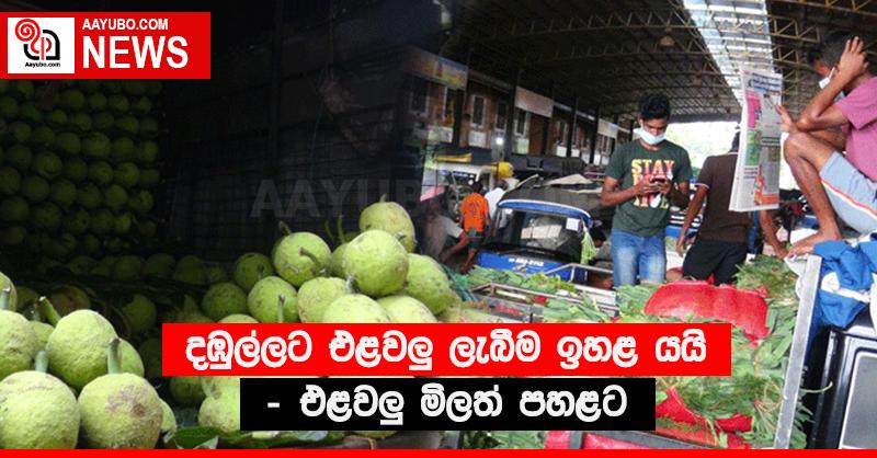 දඹුල්ලට එළවළු ලැබීම ඉහළ යයි - එළවළු මිලත් පහළට