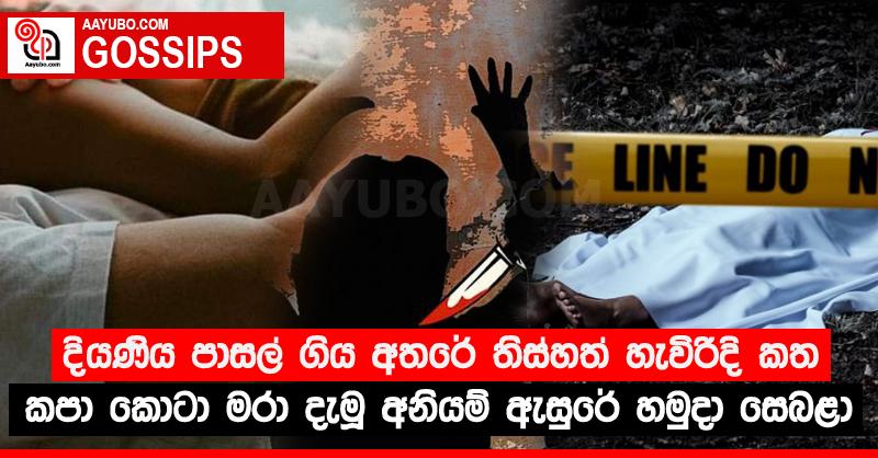 දියණිය පාසල් ගිය අතරේ තිස්හත් හැවිරිදි කත කපා කොටා මරා දැමූ අනියම් ඇසුරේ හමුදා සෙබළා
